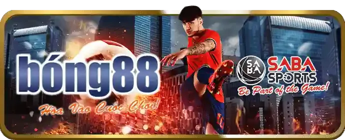 Chương trình VIP NWE88